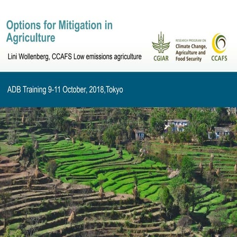 Options for Mitigation in Agriculture