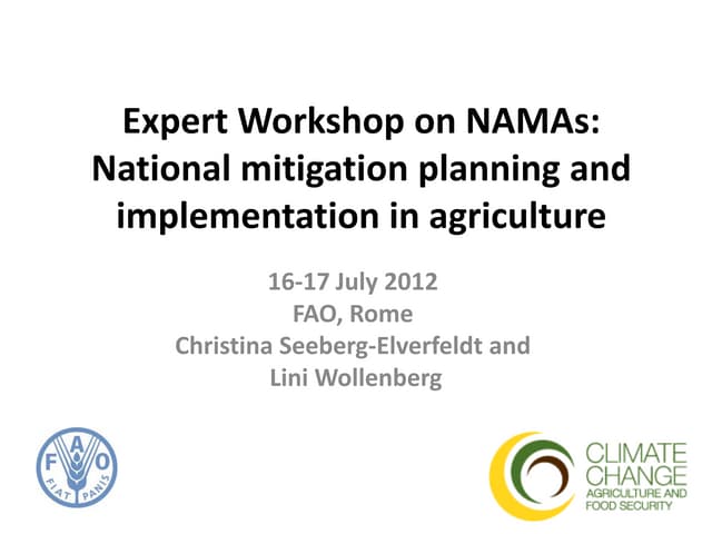 Expert Workshop on NAMAs by Wollenberg Lini