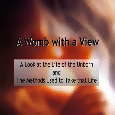 Wombwithaview