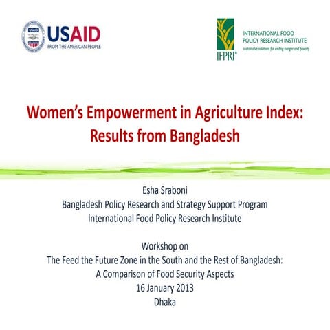 Women’s empowerment in agriculture index | PDF
