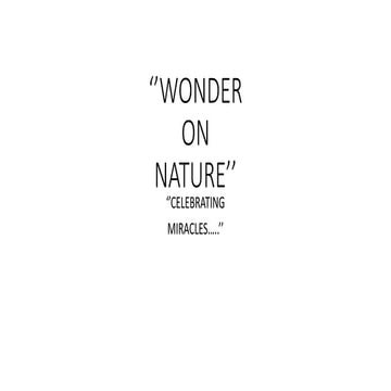 WONDER.pptx