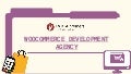 WooCommerce Development Agency PPT 1 woocommercedevelopmentagencyppt 211113100433 thumbnail 2