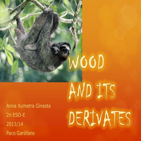 Wood and its derivatives