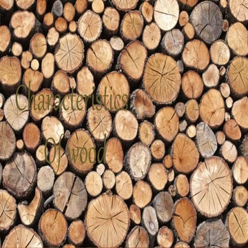 Wood anatomy and structure , wood and its products | PDF