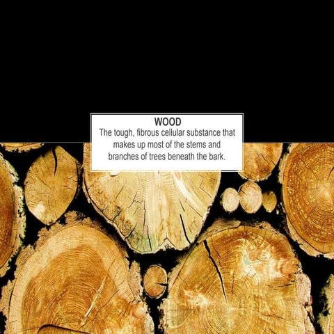 Wood2 | PPT