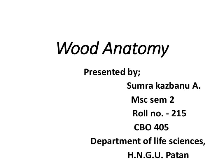 Wood anatomy