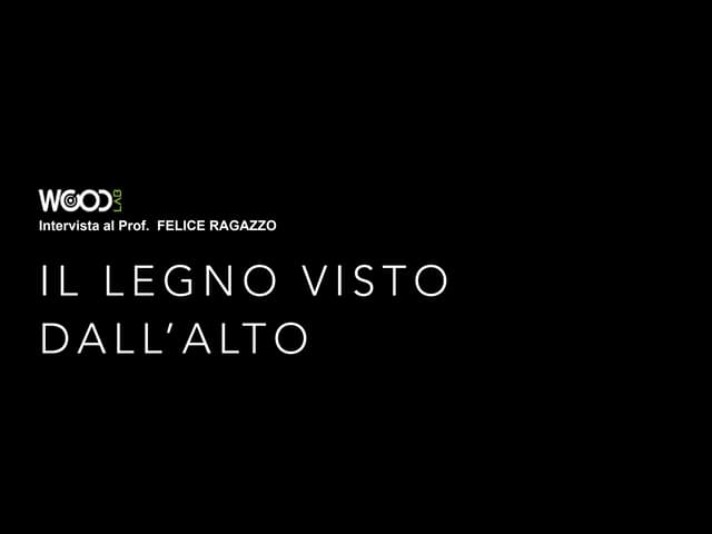 Intervista al Prof. Felice Ragazzo: il legno visto dall´alto.