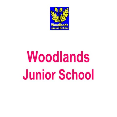 chinese new year woodlands junior