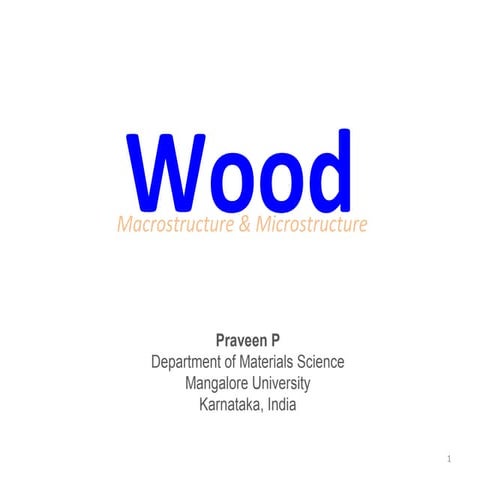 Wood (Microstructure)
