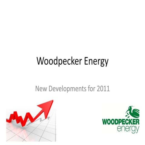 Woodpecker new in 2011 | PPT