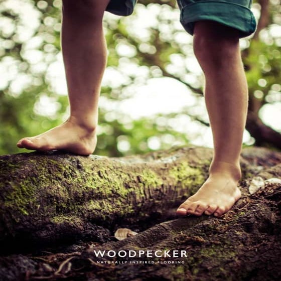  Hardwood Flooring | Woodpecker Flooring