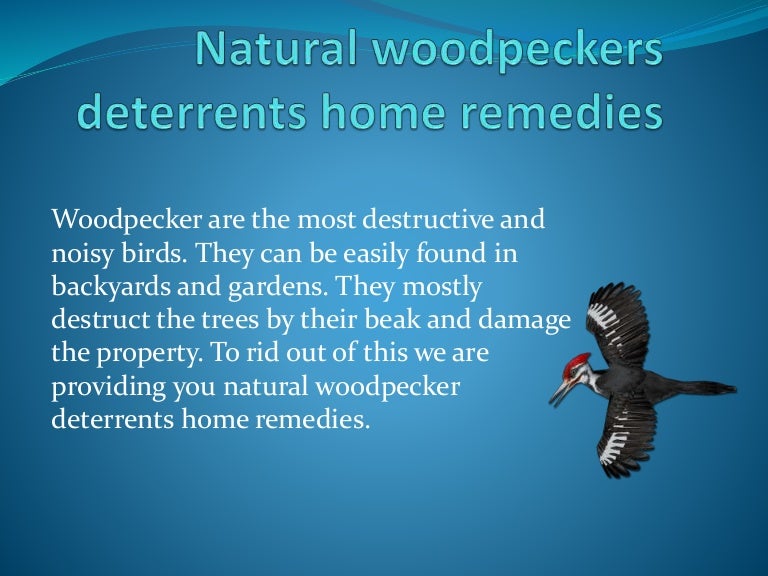 Natural woodpeckers deterrents home remedies
