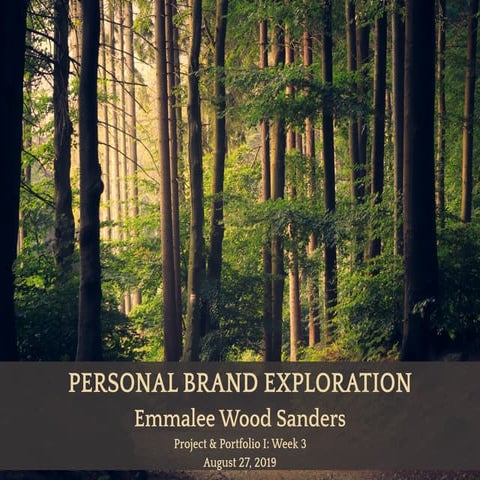 Emmalee Wood Sanders Portfolio