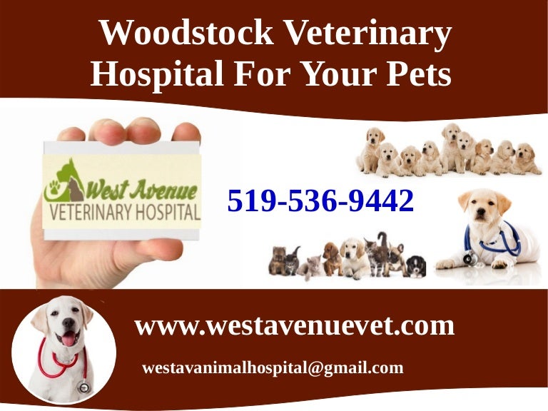 Woodstock Veterinary Hospital For Your Pets