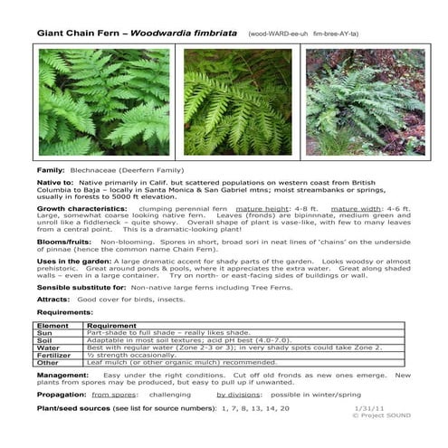 Tree Identification Guide for Oregonians | PDF