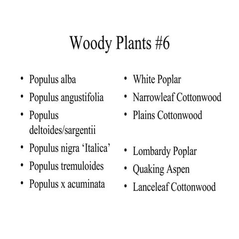Tree Identification Guide for Oregonians | PDF