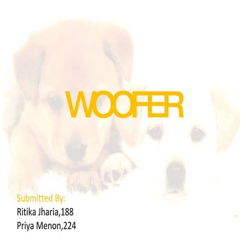 New Media Assignment.Brand:Woofer