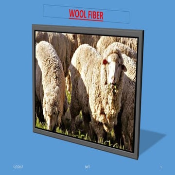 Natural Fiber Wool (Sahabul)