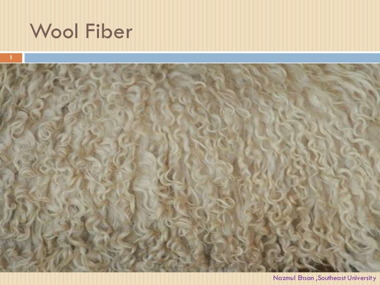 Wool fiber