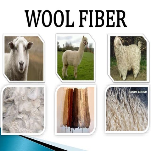 Wool fibre