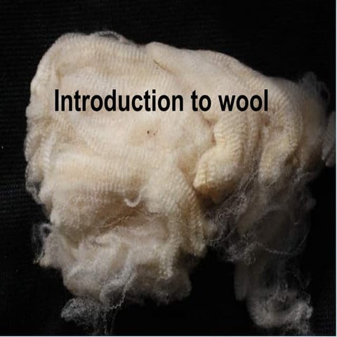 The Wool Introduction along with details