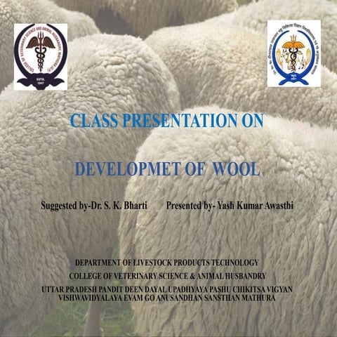 development of wool 