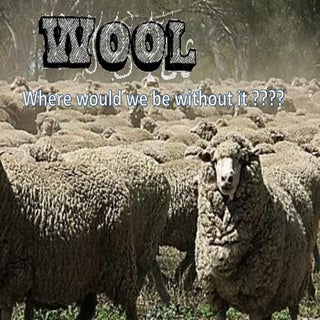 Wool where would we be without it 