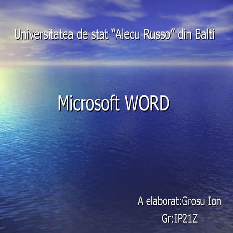 Microsoft Word