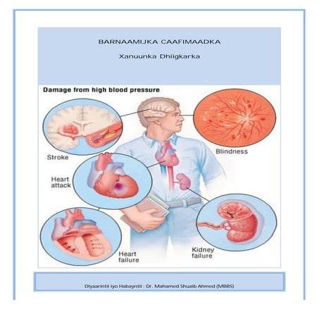 Pornografik erotik adabiyot