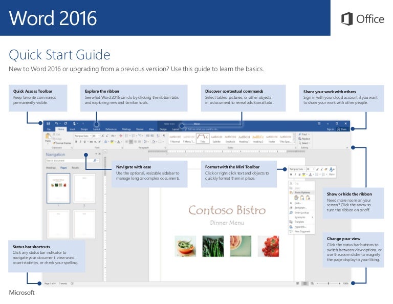 microsoft word page view options