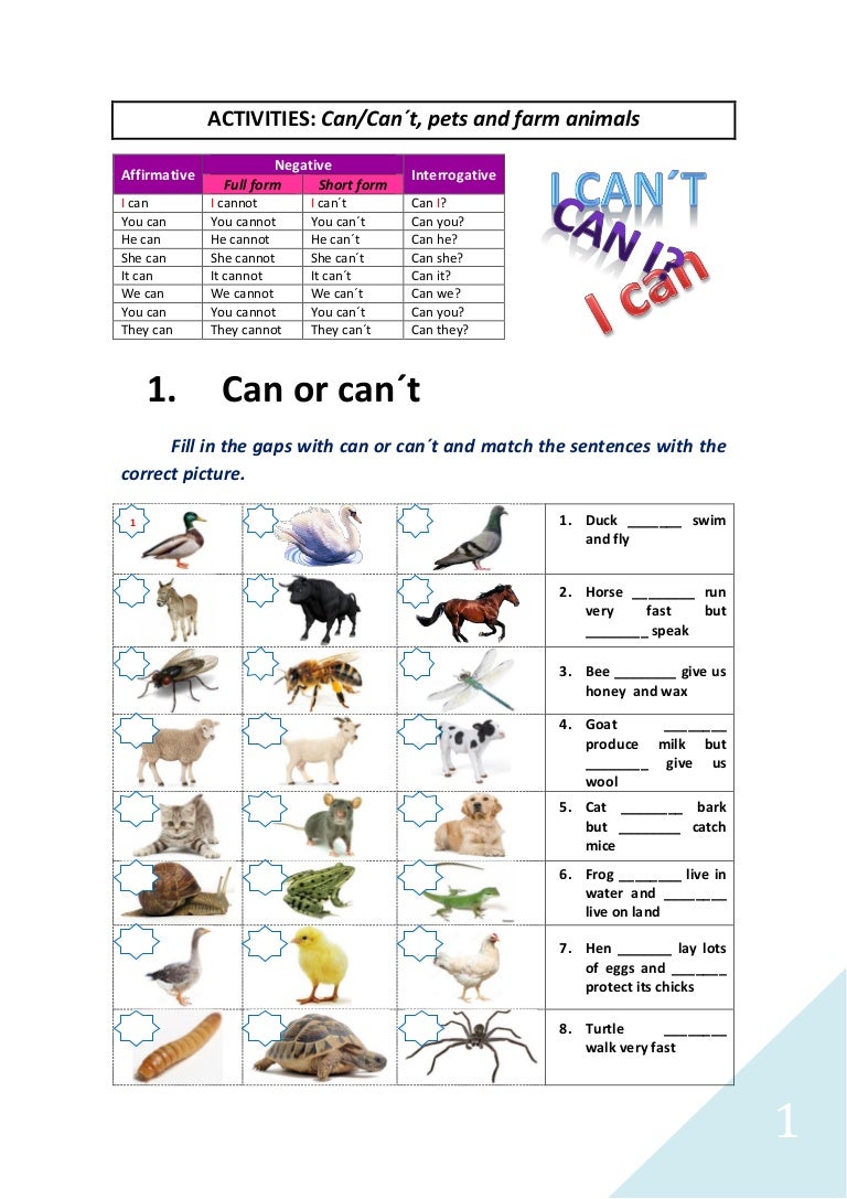 Word Activities