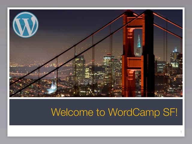 WordPress Plugins for n00bs