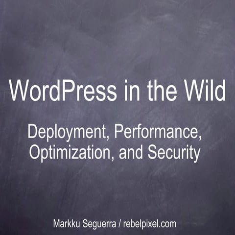 WordCamp Philippines 2009: WordPress In The Wild