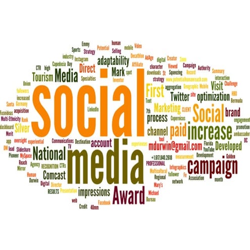 Word Cloud Resume Overview