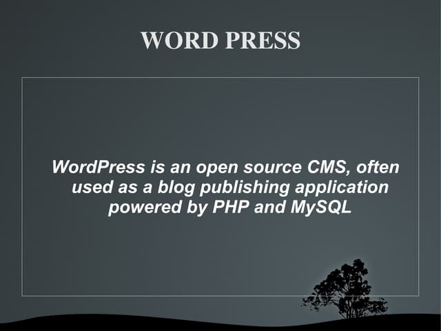 Word press