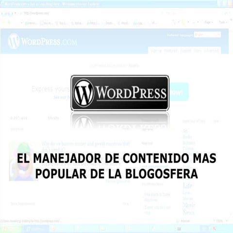 Wordpress