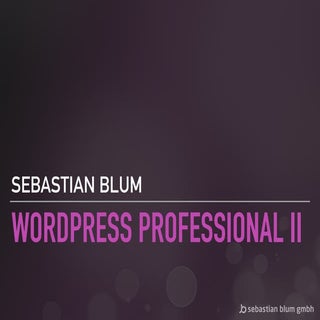WordPress Professional II