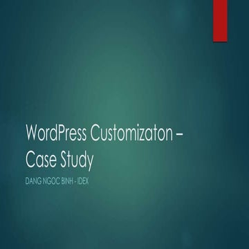 Wordpress customizaton – case study
