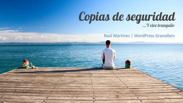 WordPress Granollers: Copias de seguridad...y vive tranquilo!