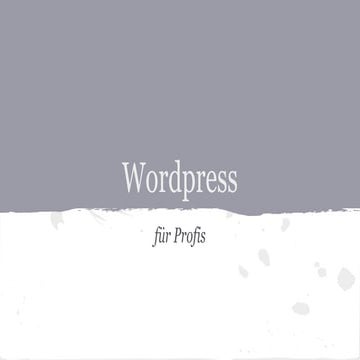 Wordpress für Profis