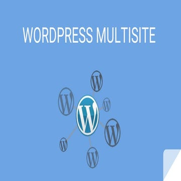 Wordpress Multisite | Mafaldida