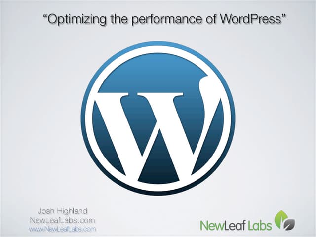 Optimizing the performance of WordPress