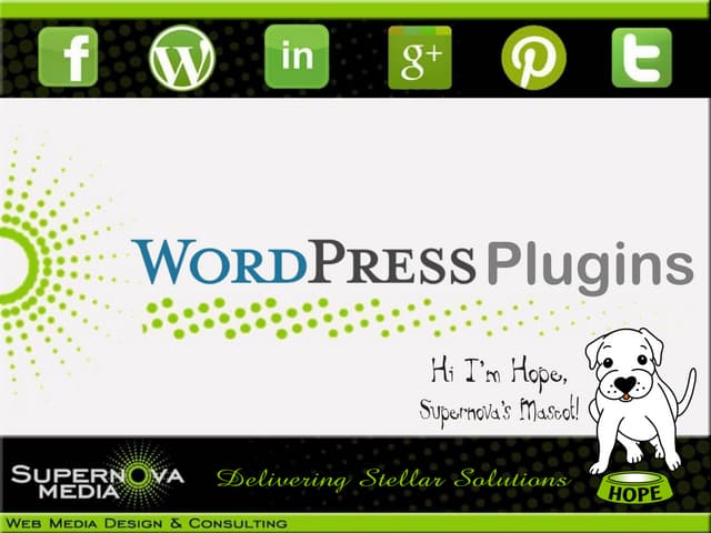 Best Wordpress Plugins