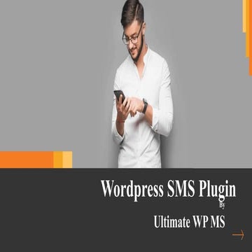 Ultimate wp sms