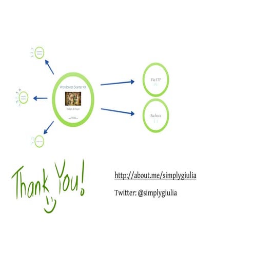 Word Press Starter Kit: Widget  & Plugin