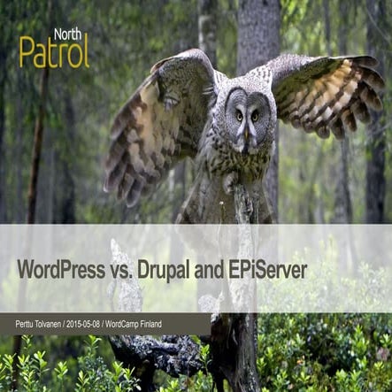 WordPress vs Drupal and EPiServer