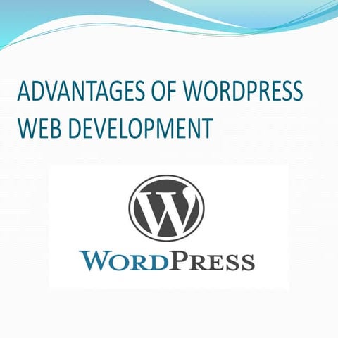 Wordpress web development