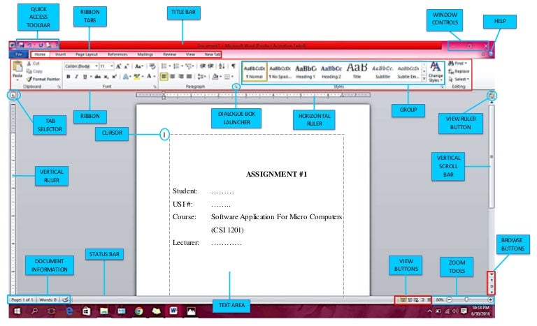 parts of a word document