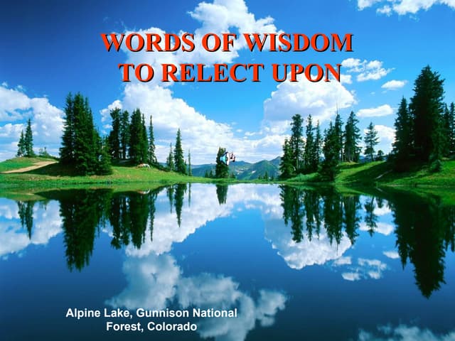 Words of Wisdom