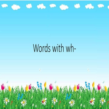 Wh- words